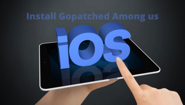 Install Gopatched Among us