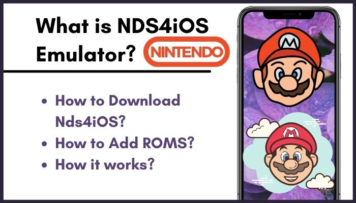 nds4ios emulator download install roms