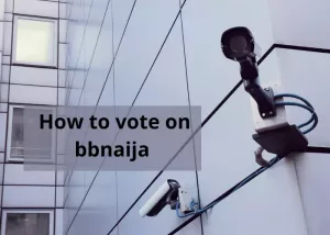 How to vote on BBNaija via SMS, Web & DStv App?