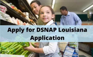 How to Pre-Register for DSNAP Louisiana application?