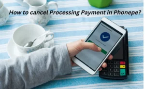 How to cancel Processing Payment in Phonepe (2022)?
