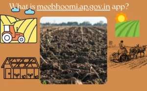 MeeBhoomi Adangal Ap App 2023: How to USE & Install?