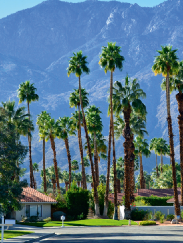 Top 10 Things to Do in Coachella Valley